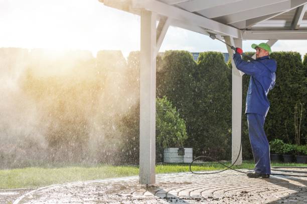Best Roof Cleaning and Mildew Removal in La Riviera, CA